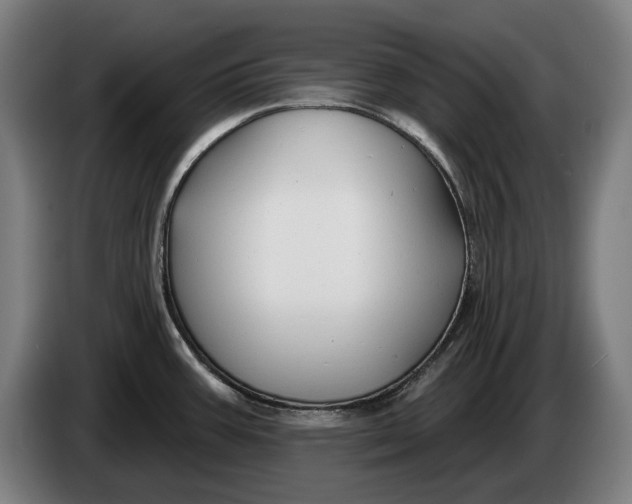 X0000086321387200704202013