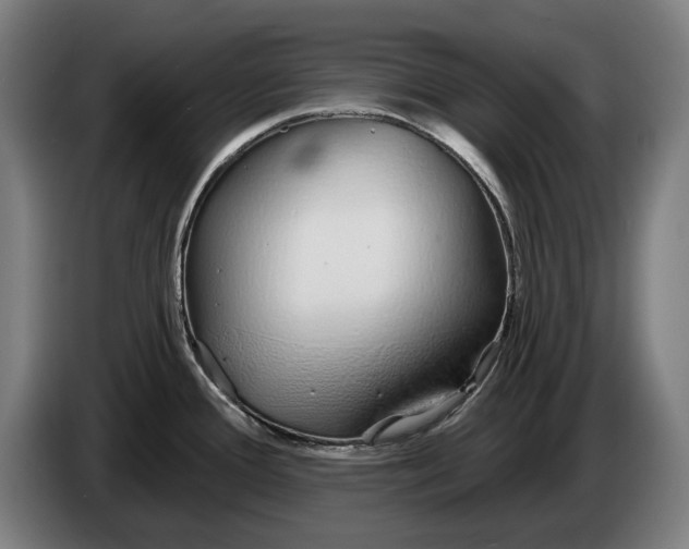 X0000086321388200704202013