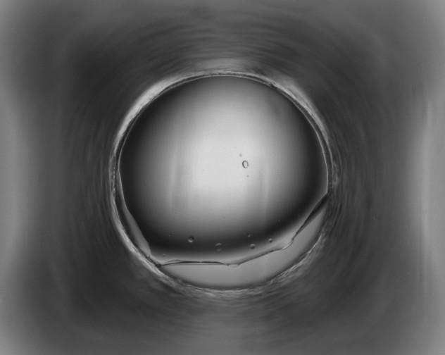 X0000086321389200704202013