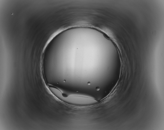 X0000086321390200704202013