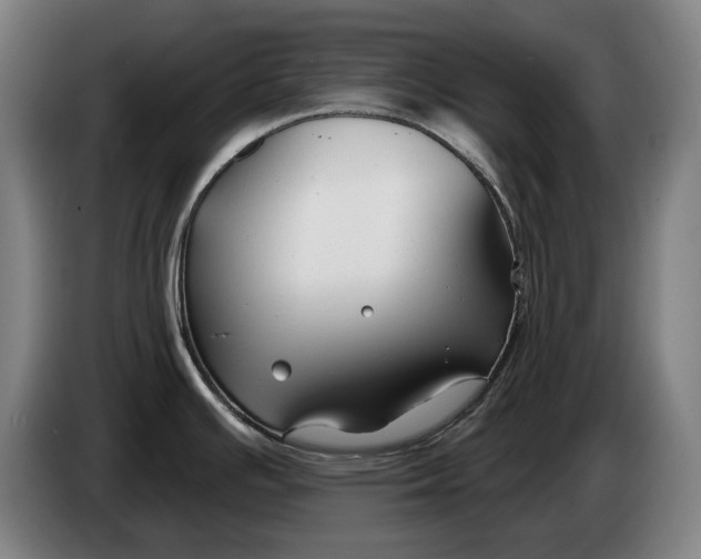 X0000086321391200704202013