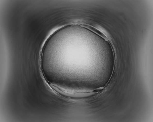 X0000086321392200704202013