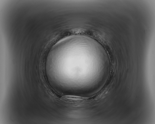 X0000086321393200704202013