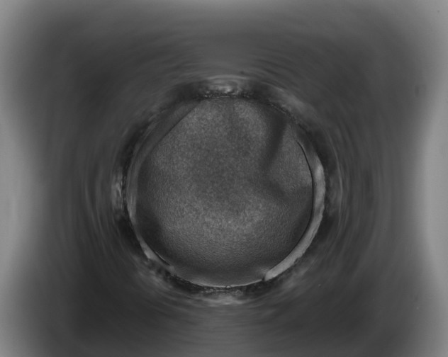 X0000086321394200704202013