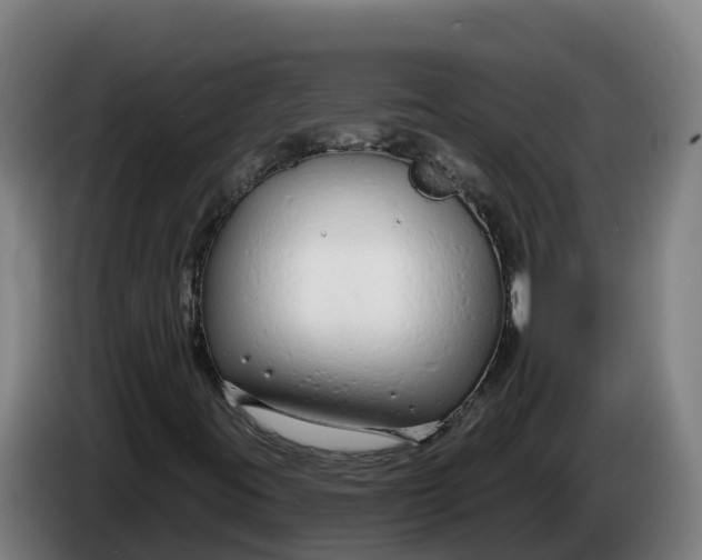 X0000086321395200704202013