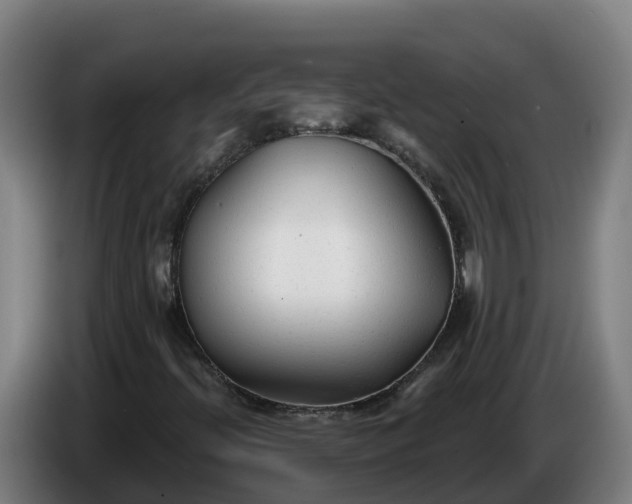 X0000086321396200704202013