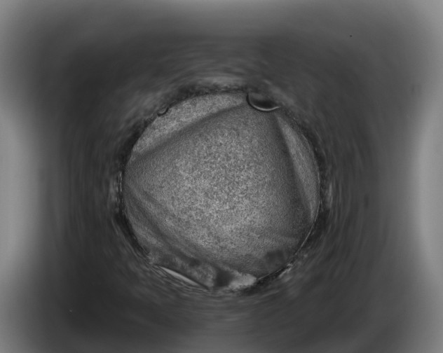 X0000086321397200704202013