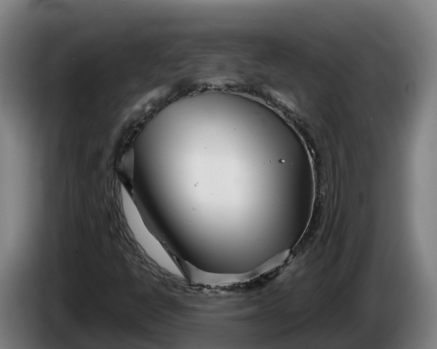 X0000086321398200704202013