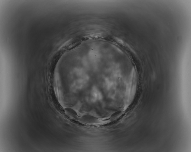 X0000086321399200704202013