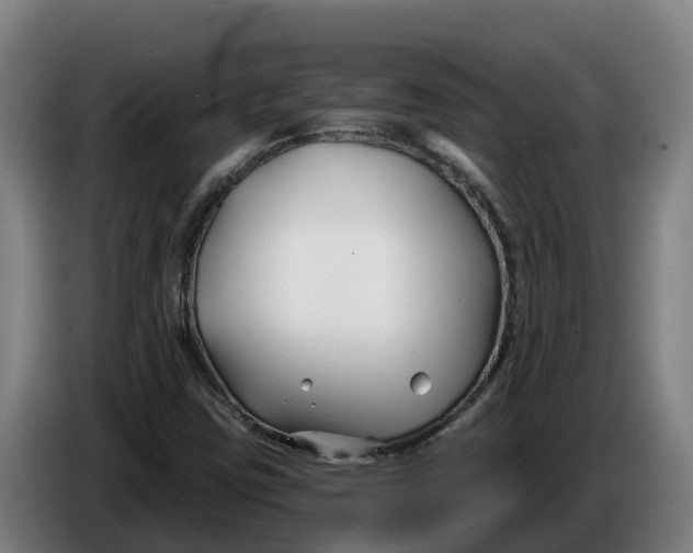 X0000086321403200704202013