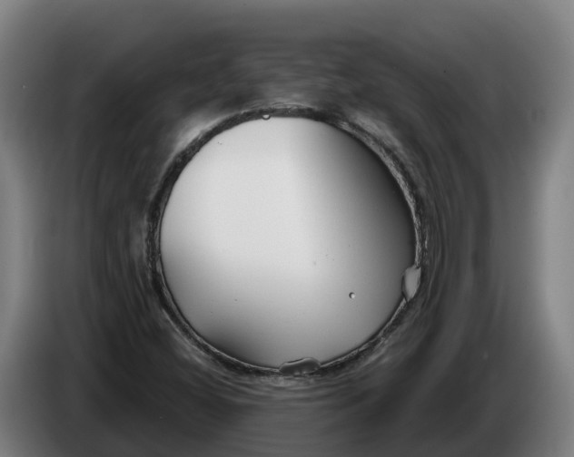 X0000086321404200704202013