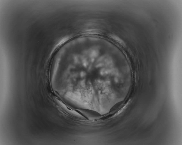 X0000086321405200704202013