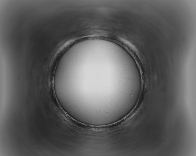 X0000086321407200704202013