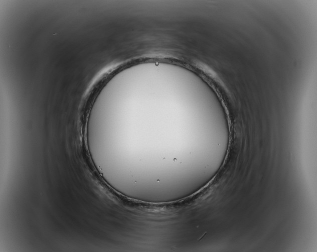 X0000086321408200704202013