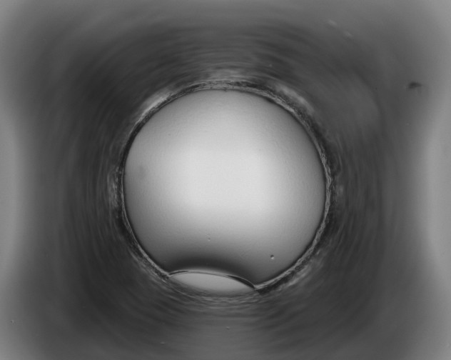 X0000086321409200704202013