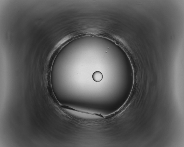 X0000086321410200704202013