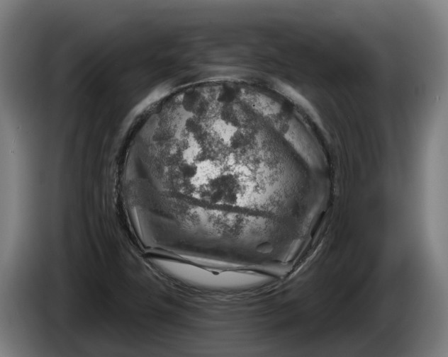 X0000086321411200704202013