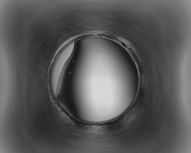 X0000086321412200704202013