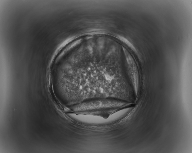 X0000086321413200704202013