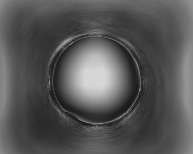 X0000086321414200704202013