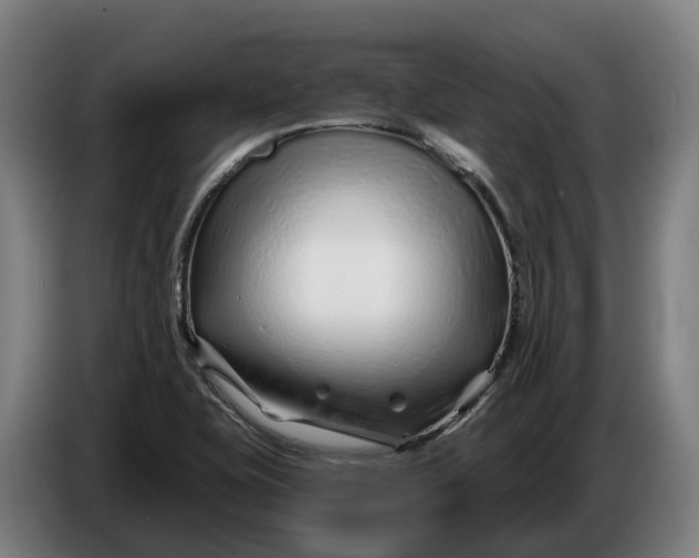 X0000086321415200704202013