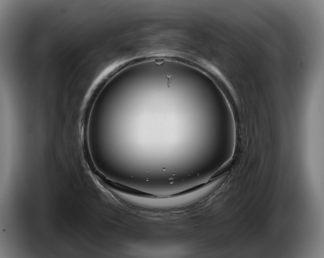 X0000086321416200704202013