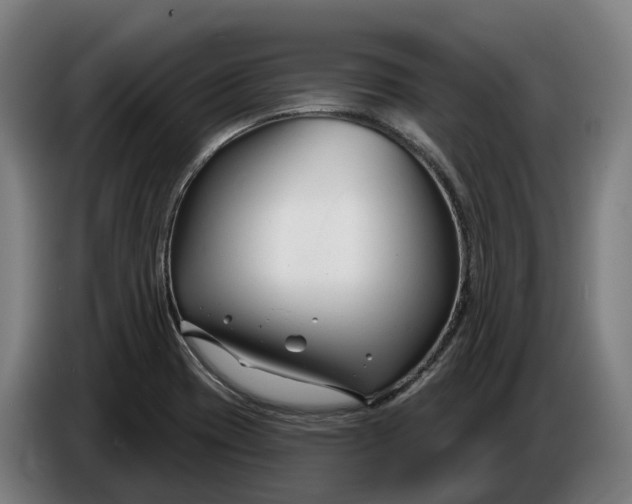 X0000086321417200704202013