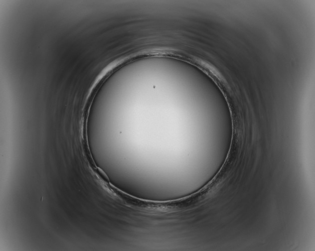 X0000086321420200704202013