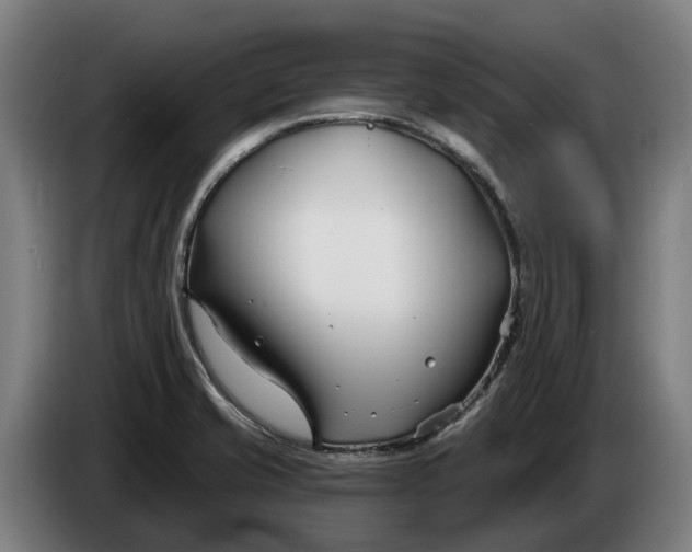 X0000086321421200704202013