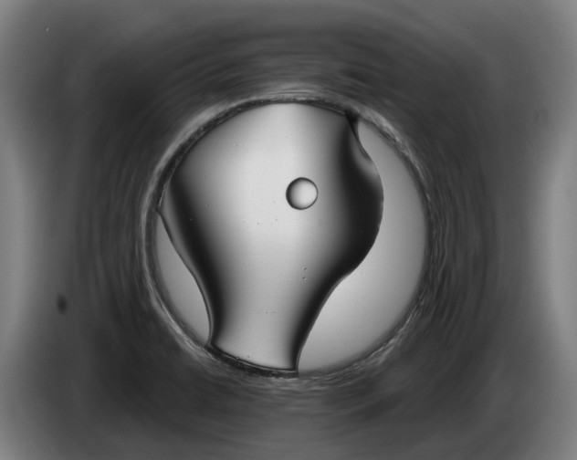 X0000086321422200704202013