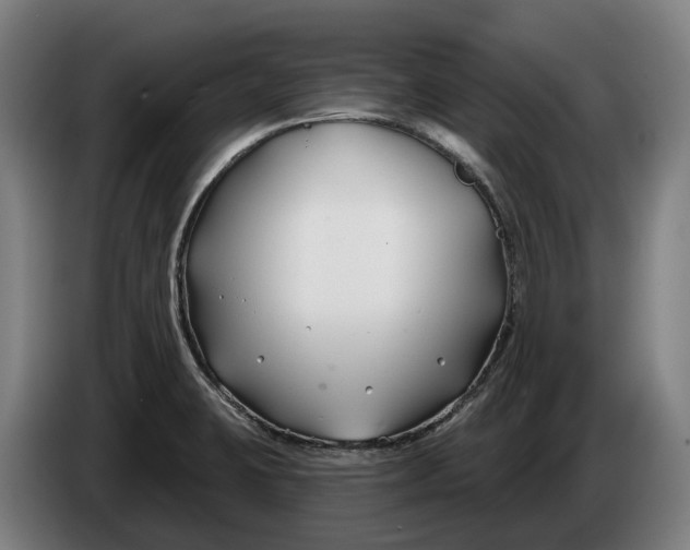 X0000086321423200704202013