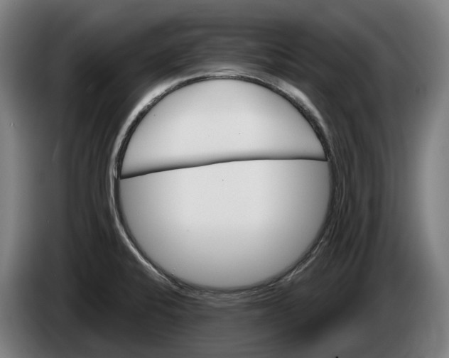 X0000086321424200704202013