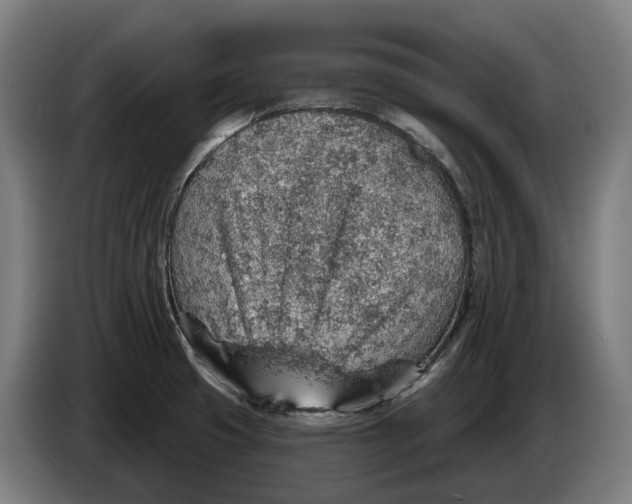 X0000086321425200704202013