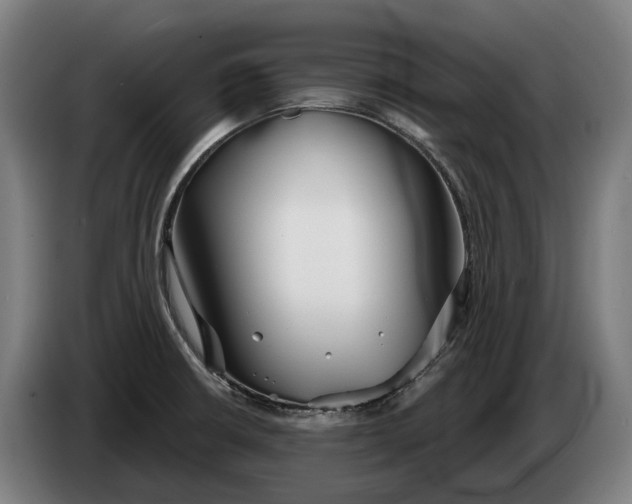 X0000086321426200704202013