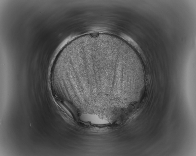 X0000086321427200704202013