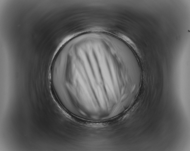 X0000086321428200704202013