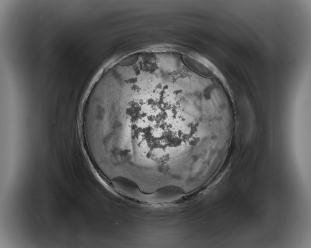 X0000086321429200704202013