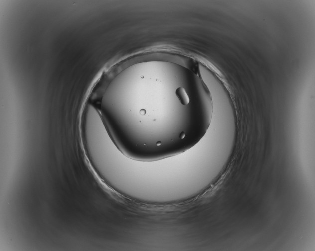 X0000086321430200704202013