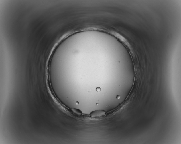 X0000086321431200704202013