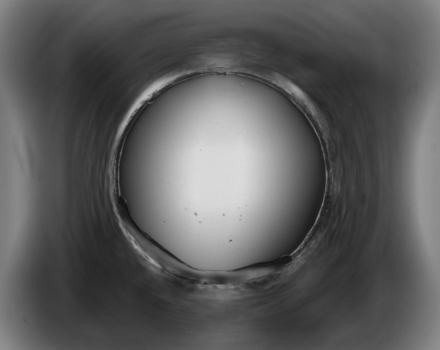 X0000086321432200704202013