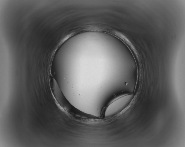 X0000086321433200704202013