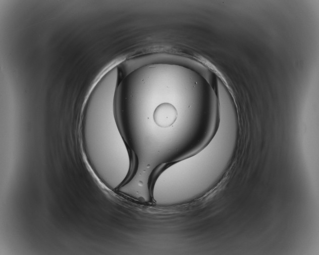 X0000086321434200704202013