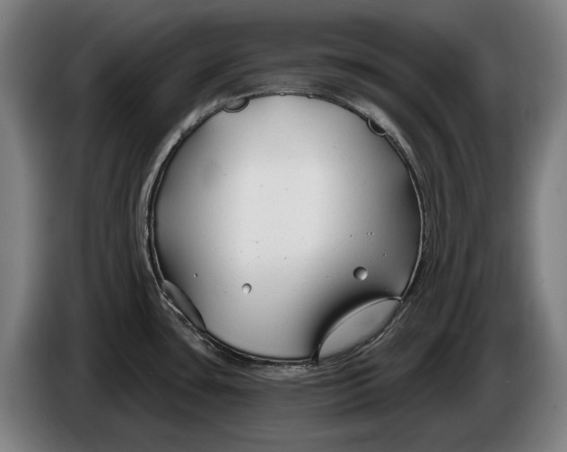 X0000086321435200704202013