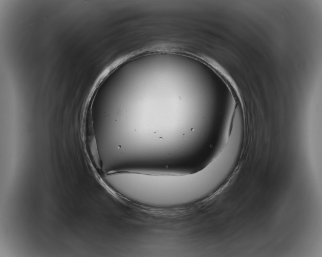 X0000086321437200704202013