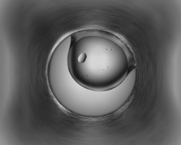 X0000086321438200704202013