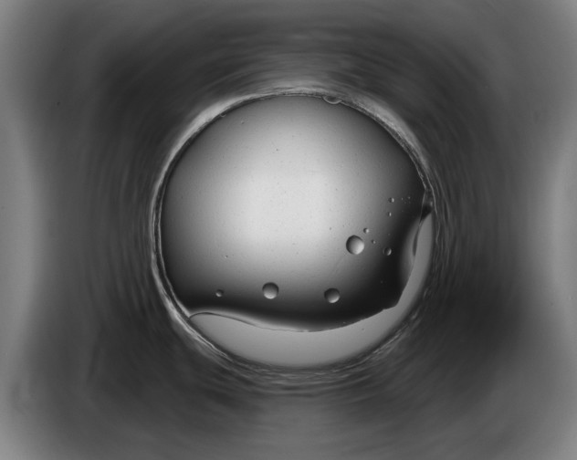 X0000086321439200704202013