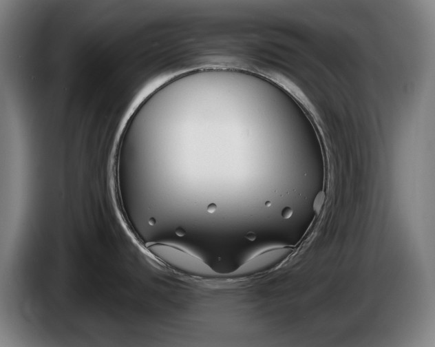 X0000086321440200704202013