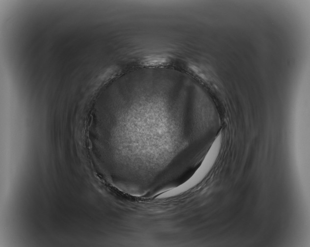 X0000086321441200704202013