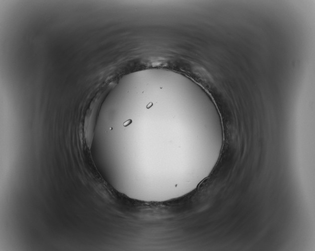 X0000086321442200704202013