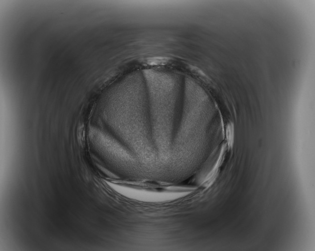 X0000086321443200704202013